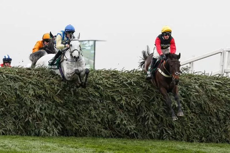 Changes To Grand National Fences Over Time: Better For Horses But Less Of A Lottery