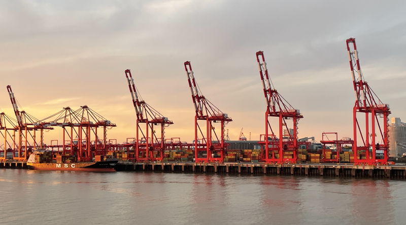 cranes at liverpool sea port bathed in setting sun