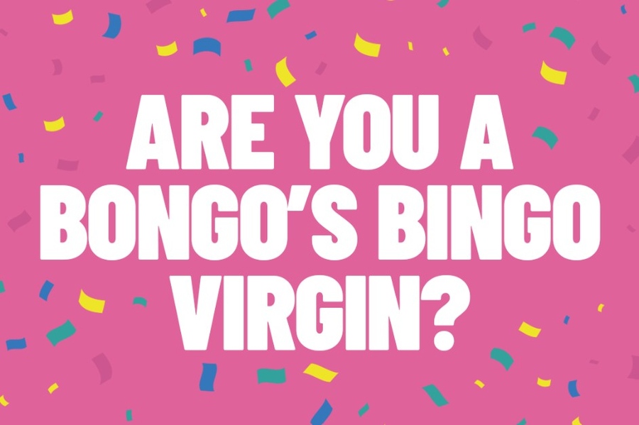 What is Bongos Bingo?
