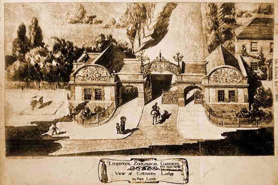 What Happened to Liverpool Zoo?